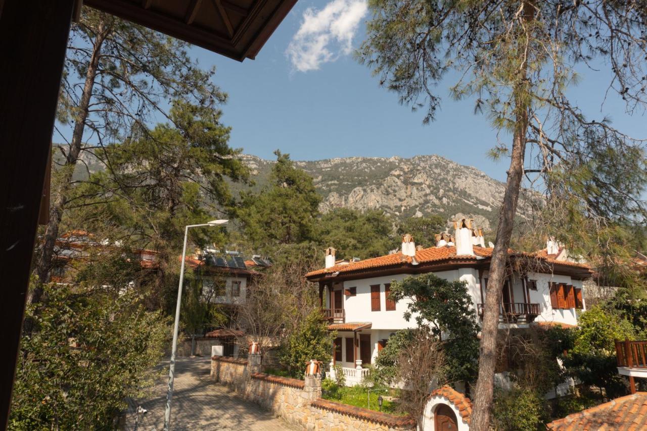 Apartment Alp Lavanta Akyaka (Mugla)