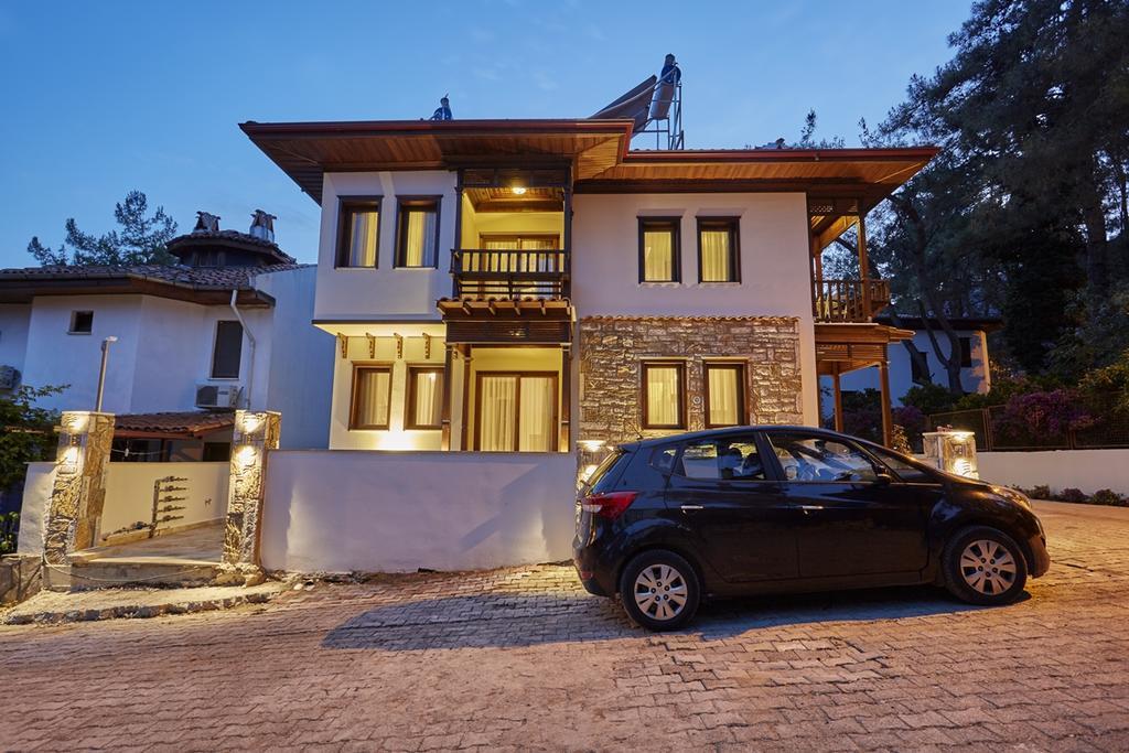 Alp Lavanta Akyaka (Mugla)